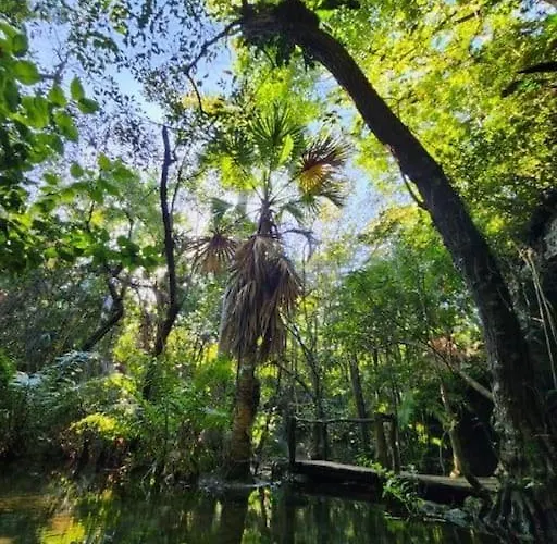 Palapa De La Selva With Cenotes Playa del Carmen
