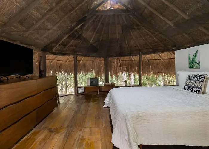 Palapa De La Selva With Cenotes *