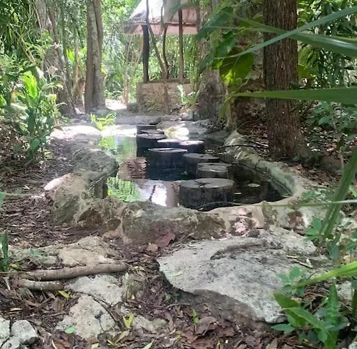 Palapa De La Selva With Cenotes