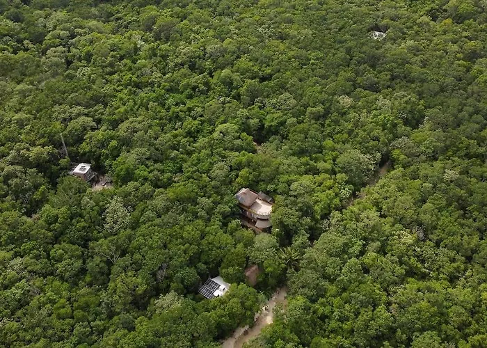 Palapa De La Selva With Cenotes Holiday home