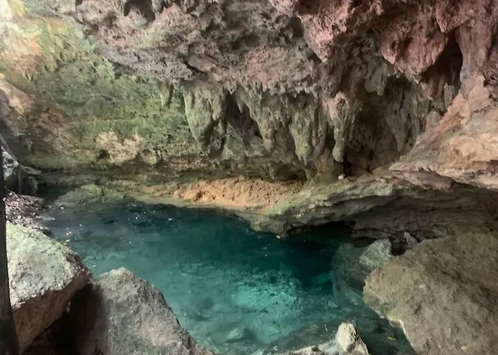 Palapa De La Selva With Cenotes * Playa del Carmen