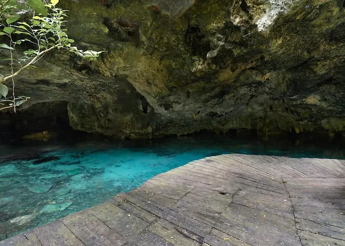 Holiday home Palapa De La Selva With Cenotes