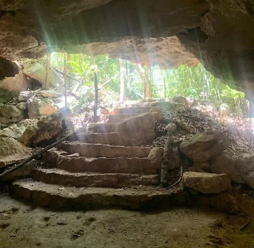 Palapa De La Selva With Cenotes *