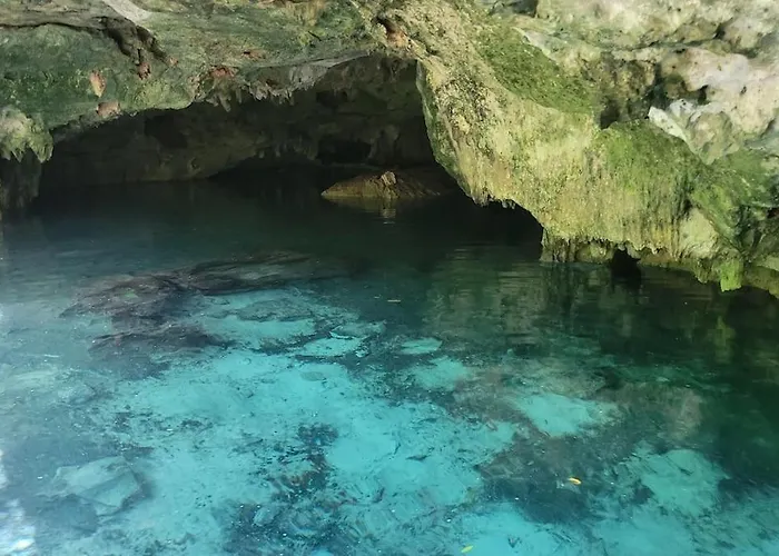 Palapa De La Selva With Cenotes Holiday home Playa del Carmen
