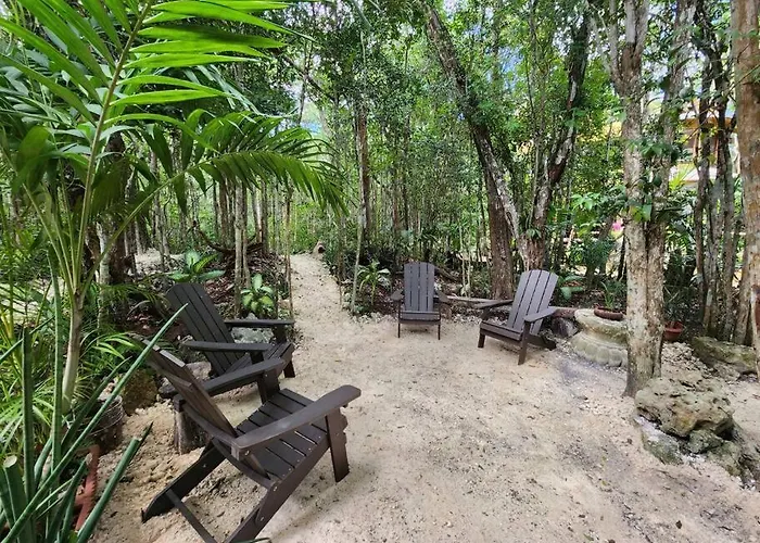 Palapa De La Selva With Cenotes * Playa del Carmen