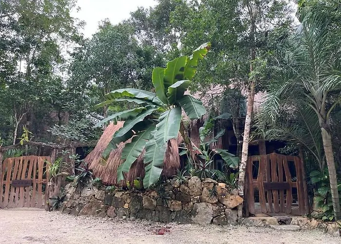 Holiday home Palapa De La Selva With Cenotes